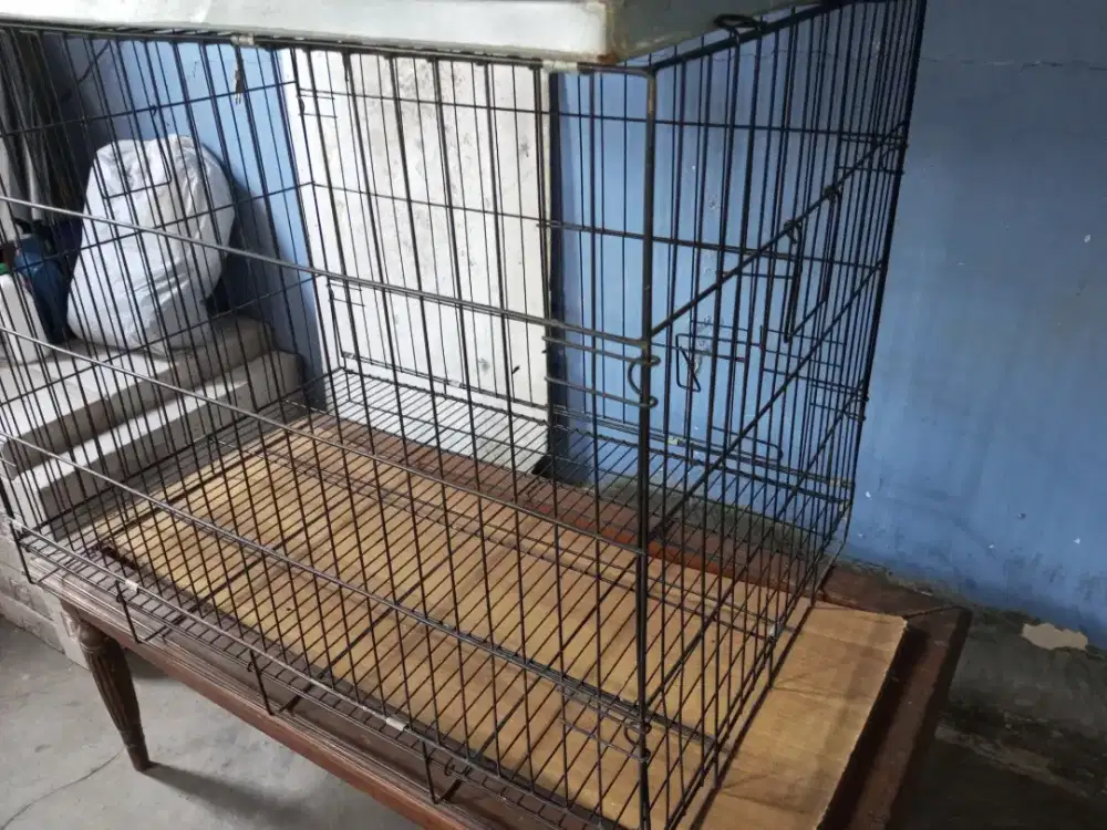 Kandang kucing / ayam / Anjing Bagus Boss