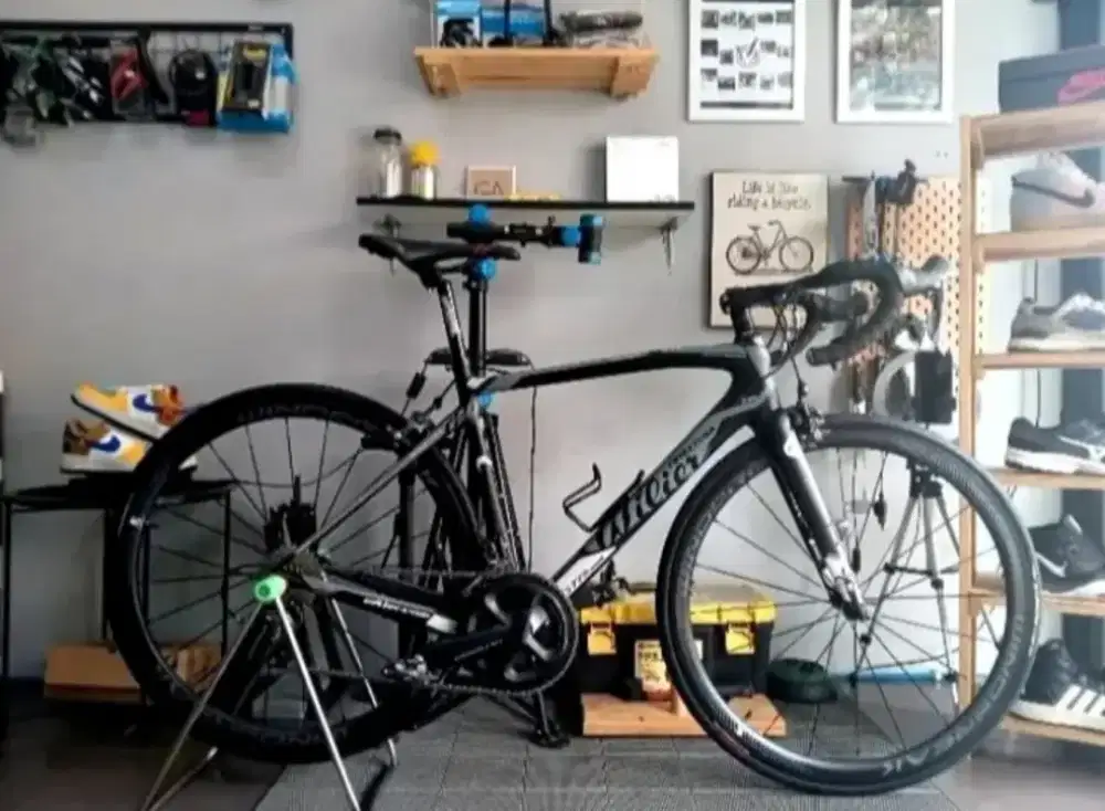 Sepeda Roadbike Triestina Full Carbon 2x11 sp