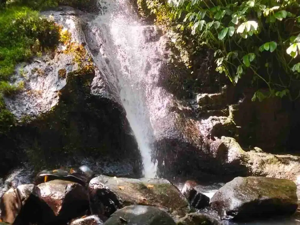 jual tanah los sungai iai air terjun mini.luas 1 hektar harga28 jt/ are lokasi selemadeg timur