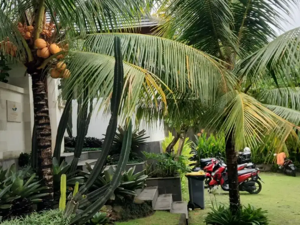 Dijual Rumah Minimalis Nyaman di Ungasan - Dekat Jimbaran dan Uluwatu Dengan Akses Mudah - Thumbnail 2