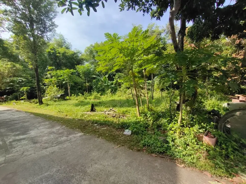Tanah Pekarangan dekat Lapangan Karangmojo Purwomartani Kalasan