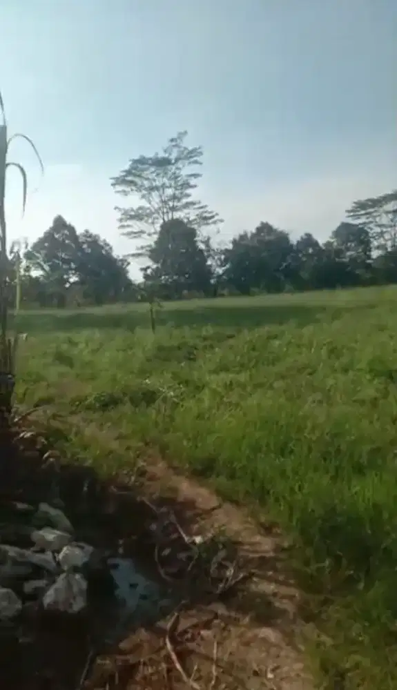 Tanah seluas 10.5 Hektar