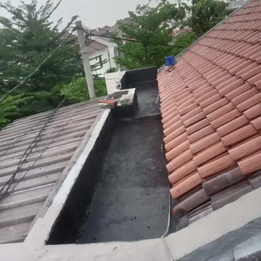 Tukang perbaikan atap bocor, perbaikan plafon rembes. Talang air, dll