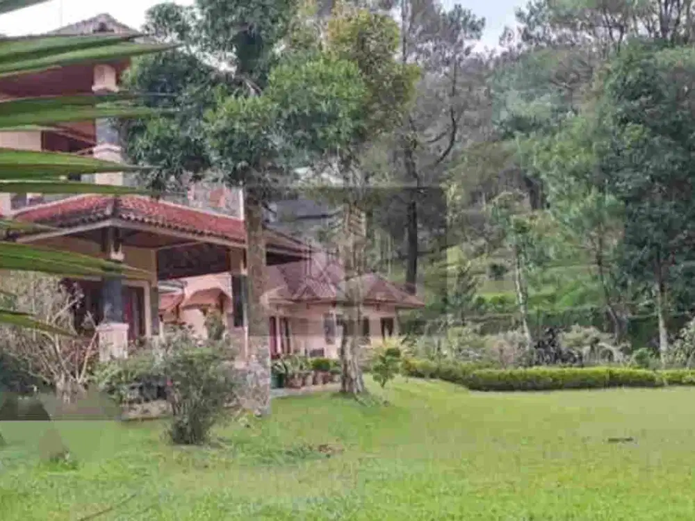 DIJUAL VILLA BAGUS AKSES LANGSUNG JALAN RAYA PUNCAK DI CILOTO