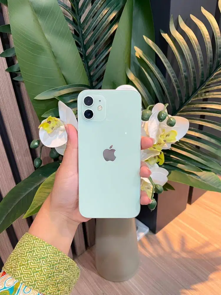 12 128Gb Green Bc
