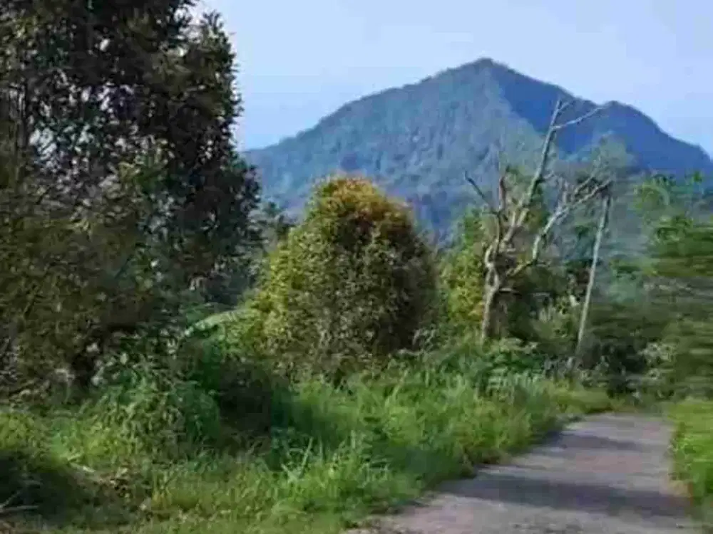 Tanah Strategis cocok untuk villa dekat Tower Turyapada