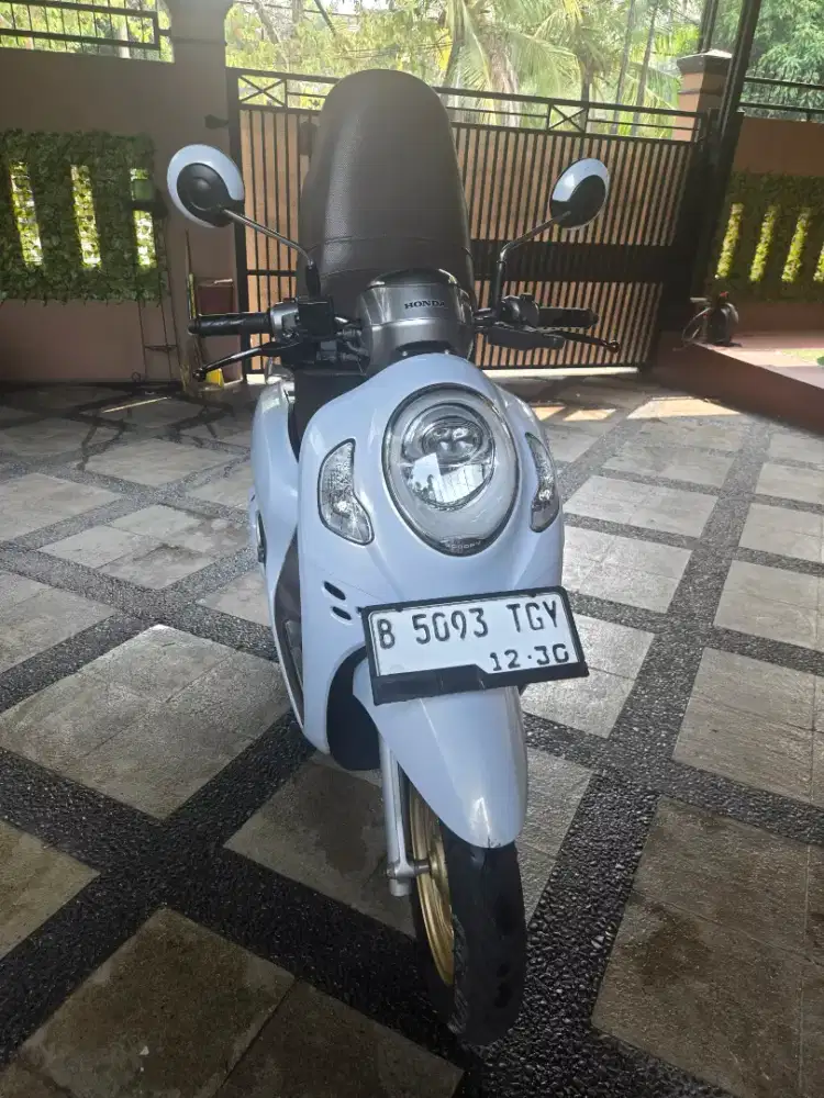 Scoopy prisetag 2020