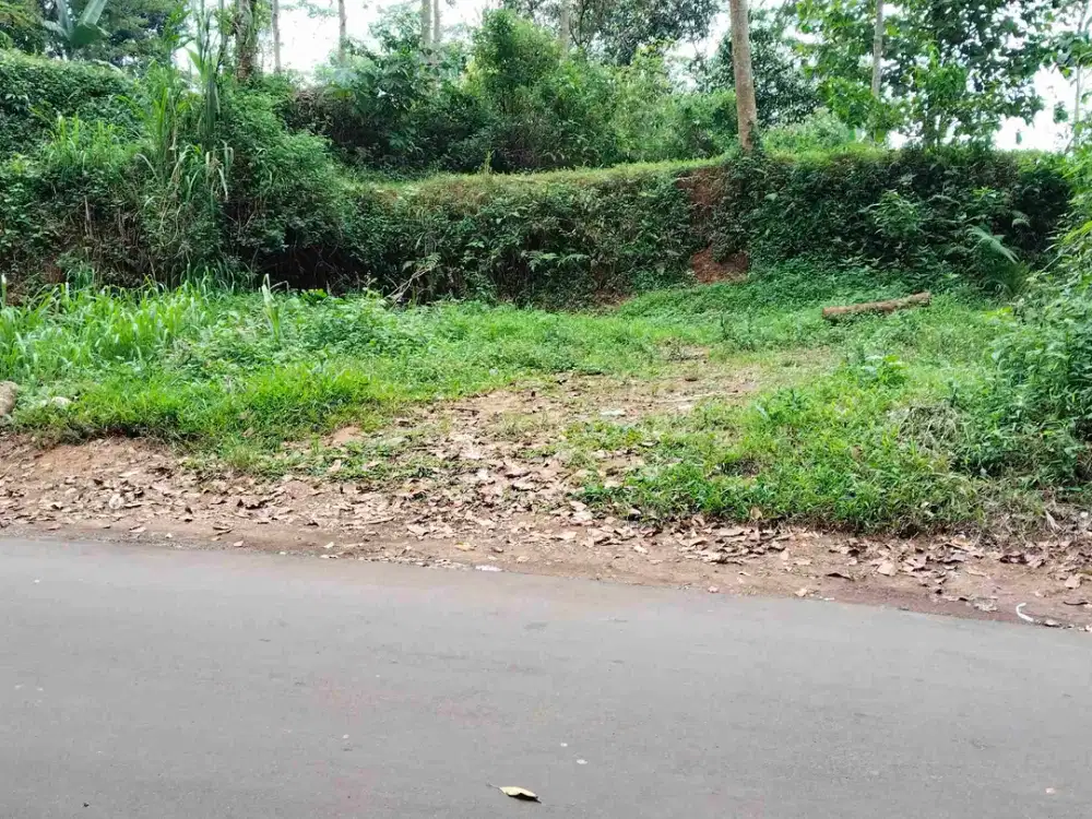 Jual tanah cigugur