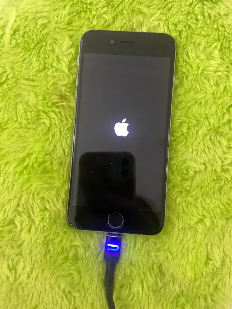 Iphone series lama