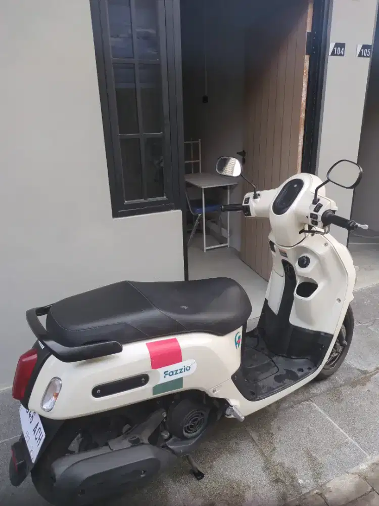 Fazio 2024 putih