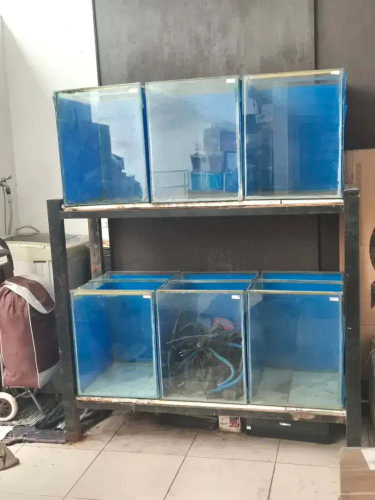 Rak Aquarium dan Tank.