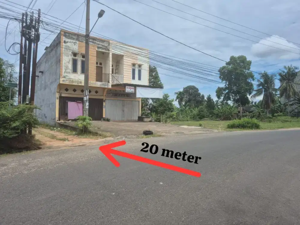 Jual Tanah Kebun Kopi Kota Jambi Dekat Jalan As 1