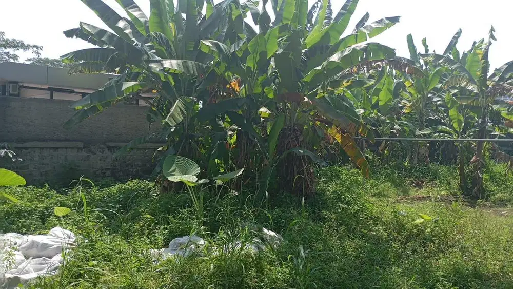 TANAH DI JUAL COCOK UNTUK USAHA DI JL RAYA MARGONDA DEPOK STRATEGIS