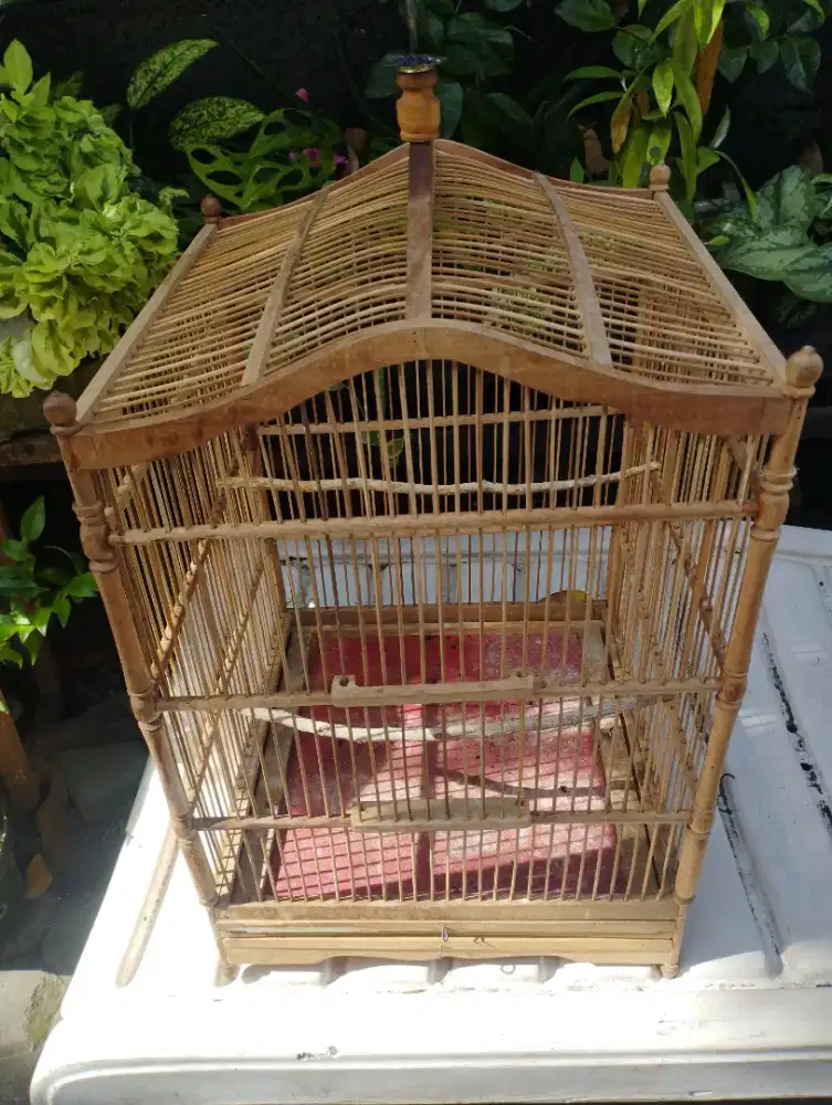 Sangkar kayu layak pakai