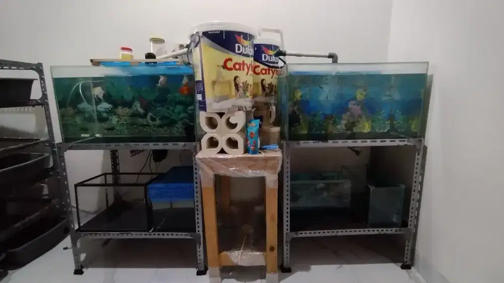 Jual Aquarium Bekas