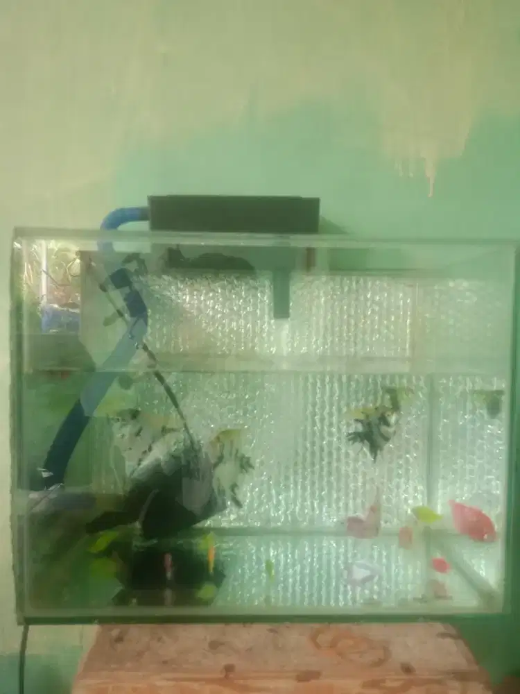 Aquarium mini fullset