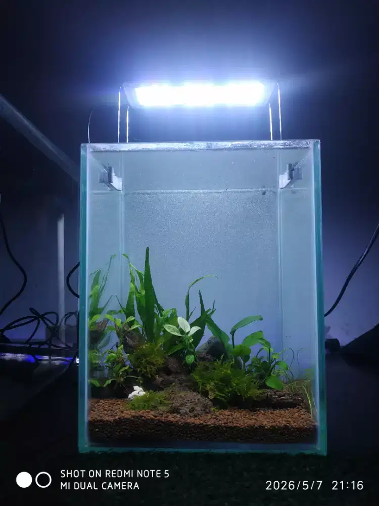 Aquascape aquarium natural