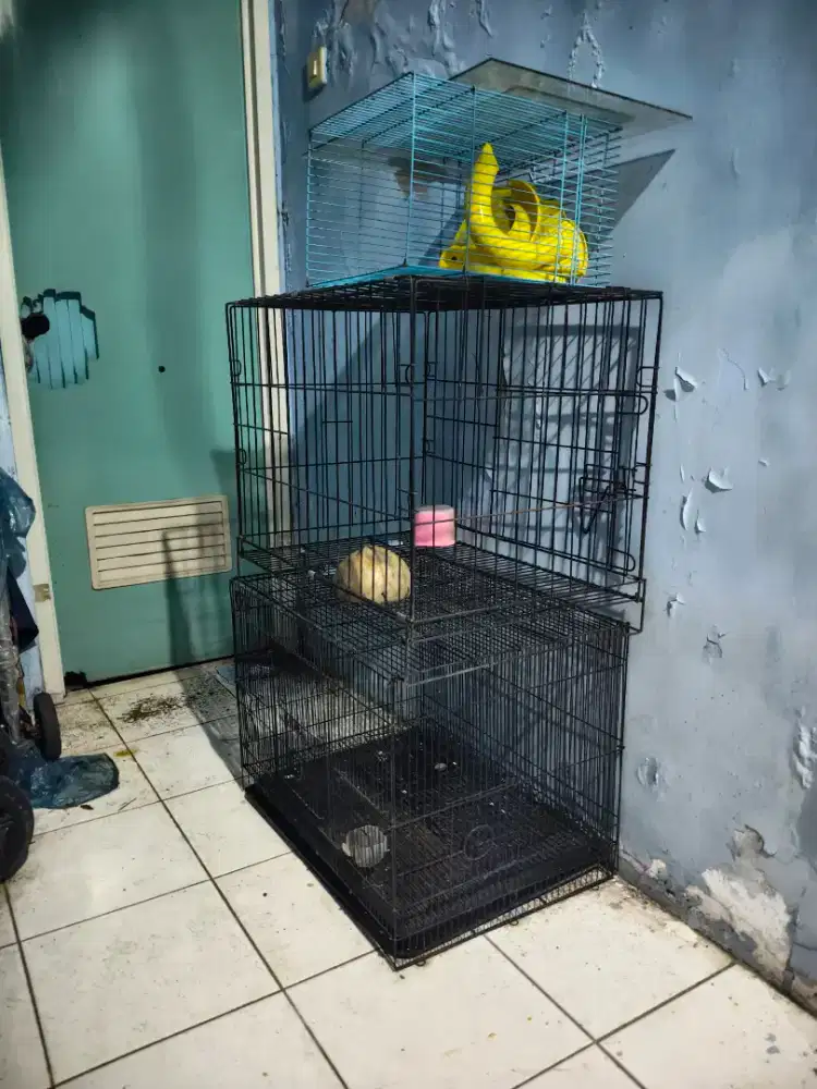 Kandang jumbo kucing