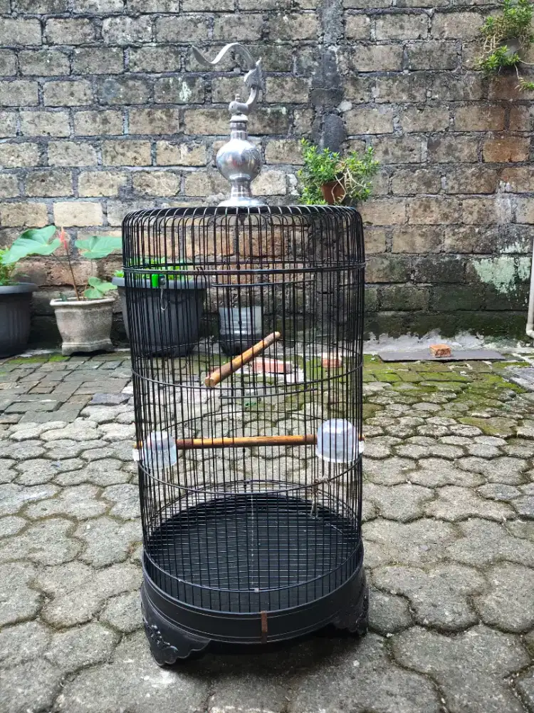 Kandang lakbet besi
