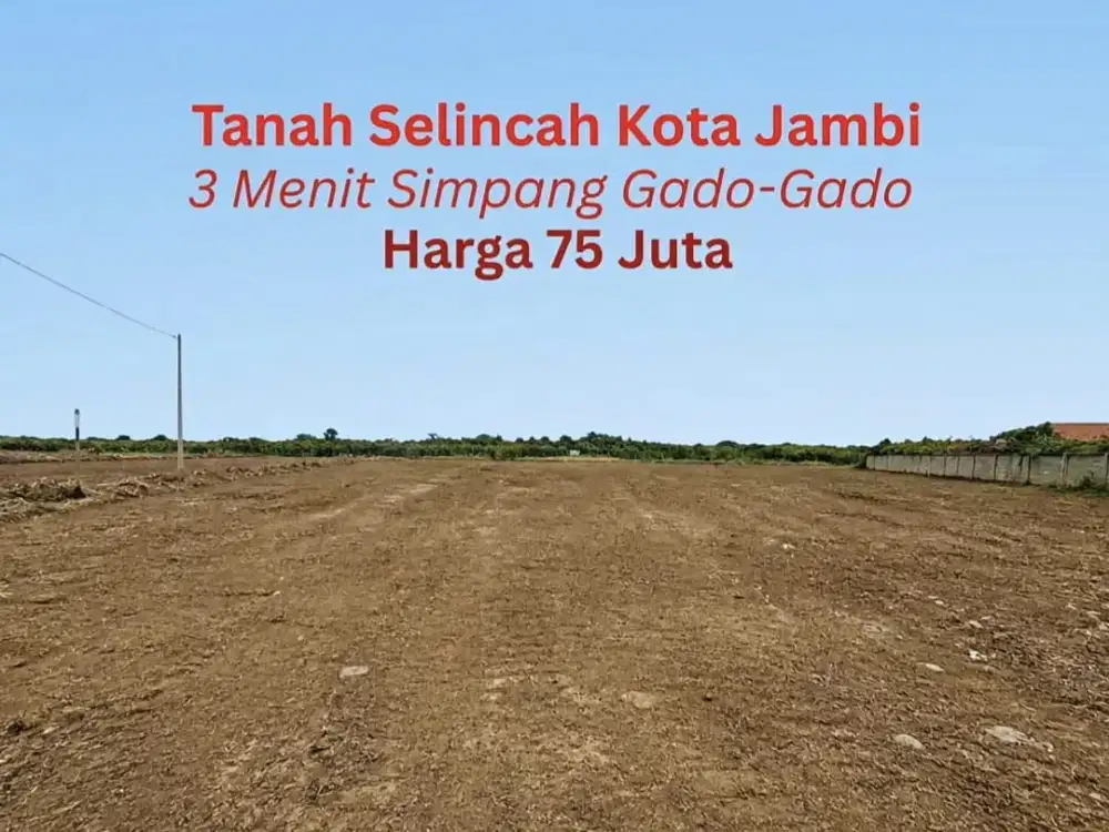 Jual Tanah Selincah Kota Jambi 2 Tumbuk