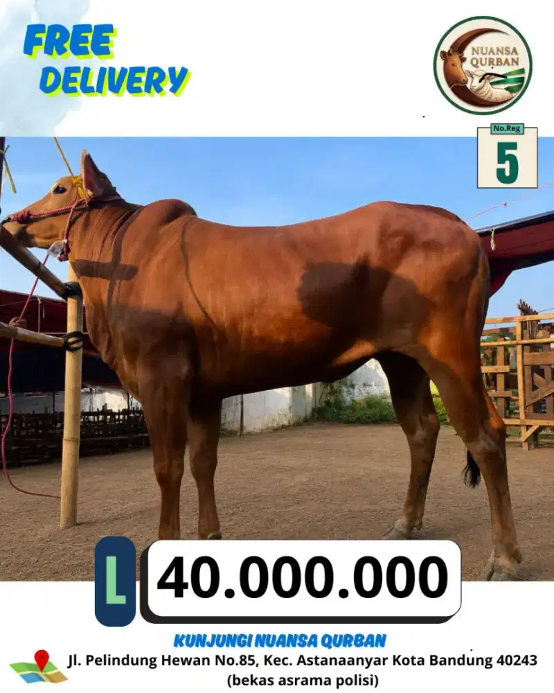 Jual hewan qurban