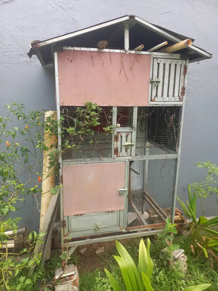 Kandang Ternak burung