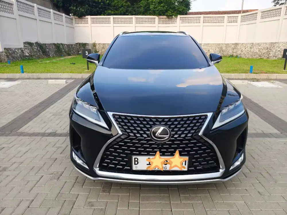 Lexus RX300t Luxury AT 2019 Good Condition