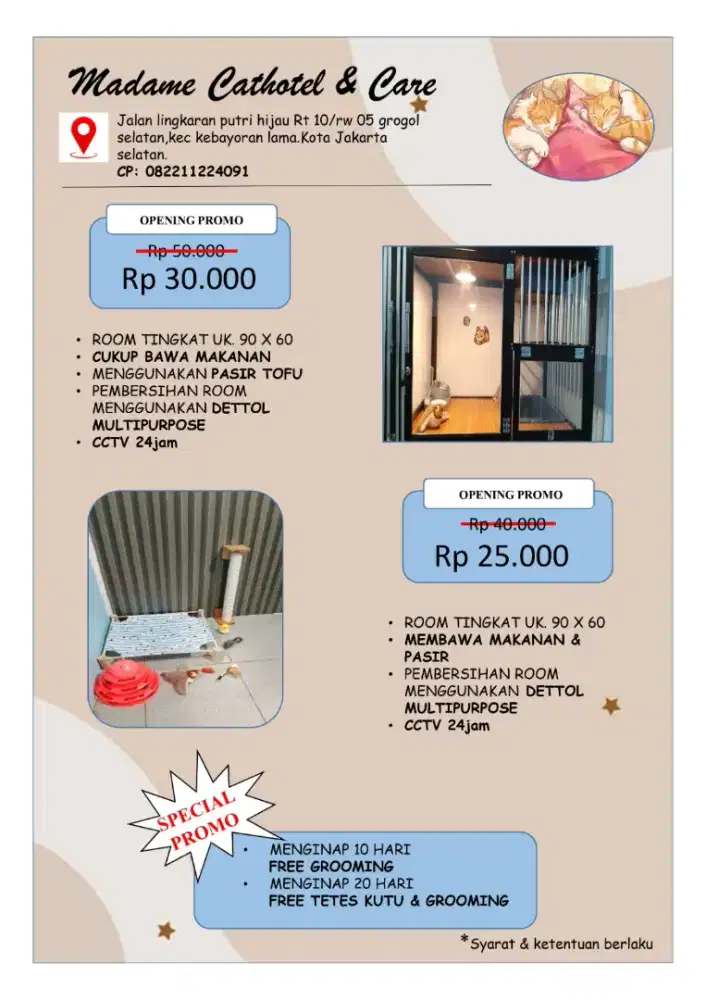 Penitipan kucing Murah Jakarta Selatan