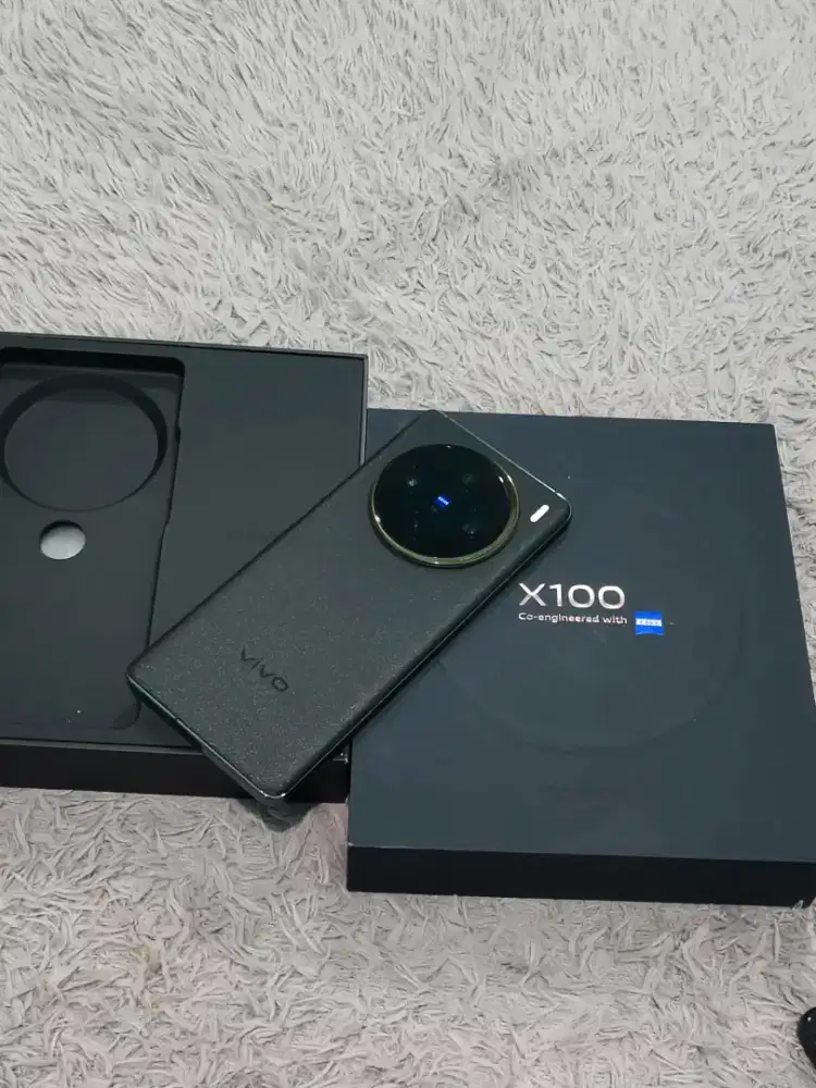 Vivo X100 12/256