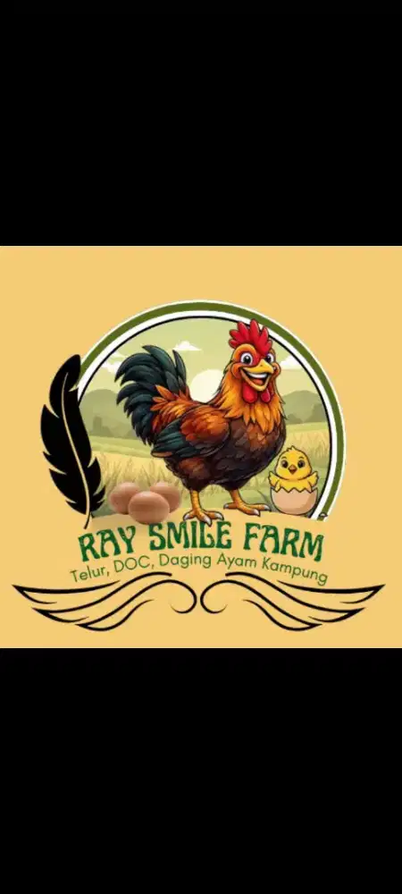 Jual ayam kampung