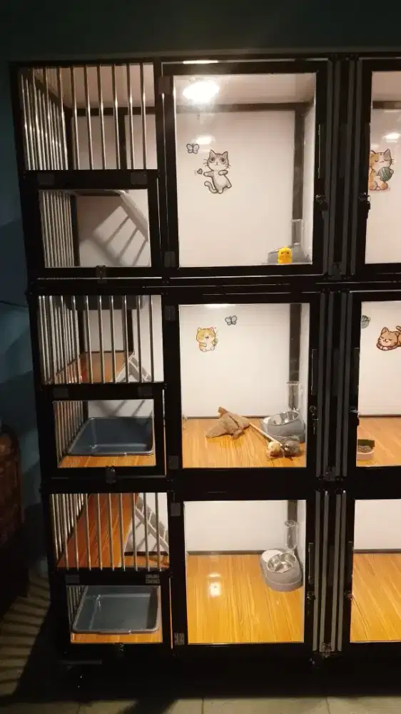 Penitipan kucing Murah Jakarta Selatan