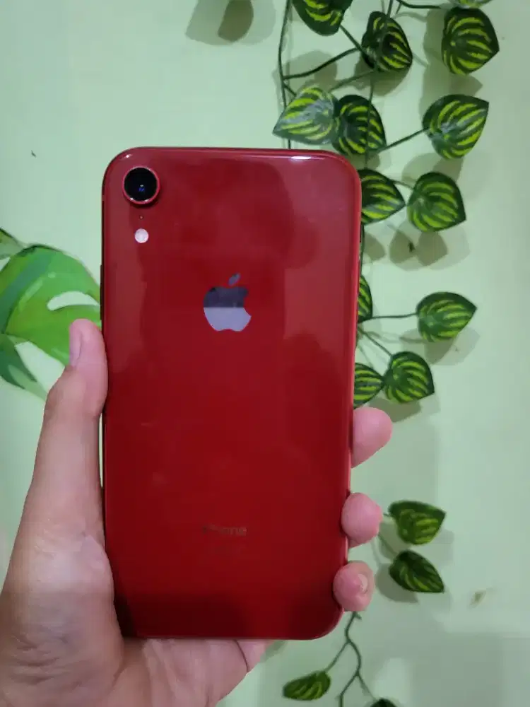 Iphone XR 64GB Preloved Istimewa