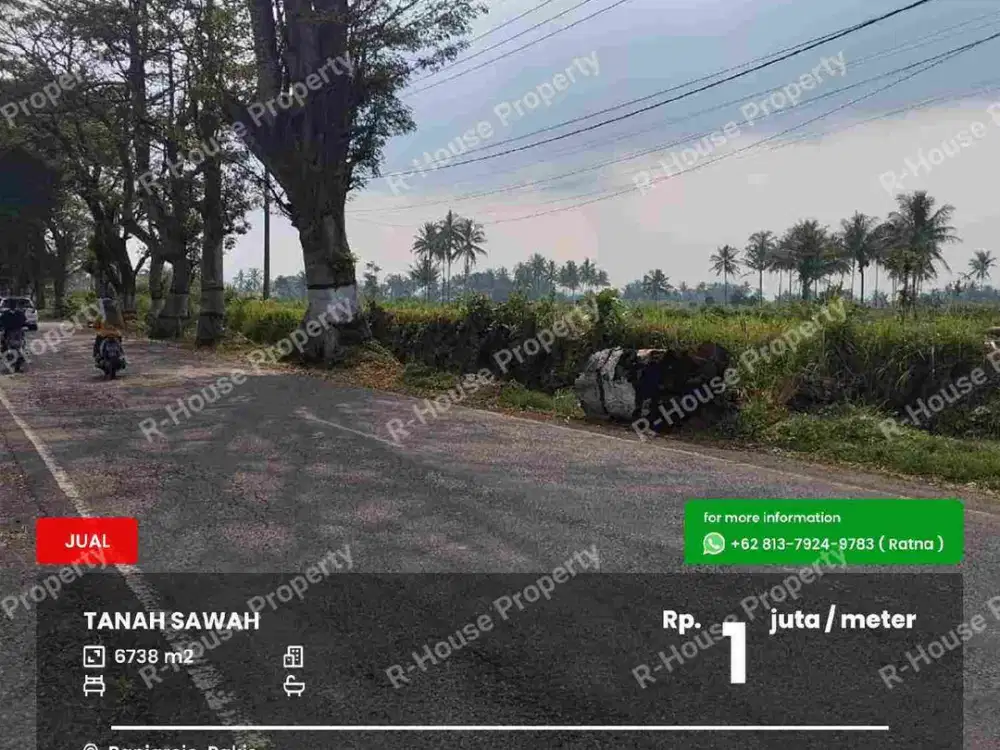 Tanah luas daerah Pakis