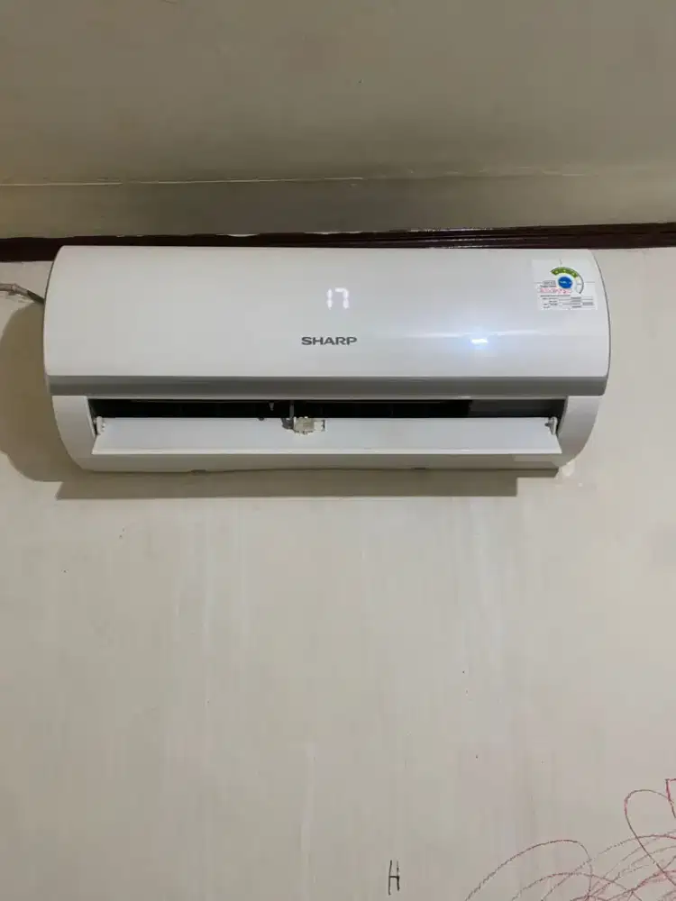 Ac sharp 1/2 pk