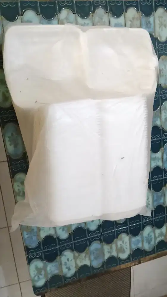 Kotak Nasi Sterofoam Campur Ukuran Besar dan Standar Murah