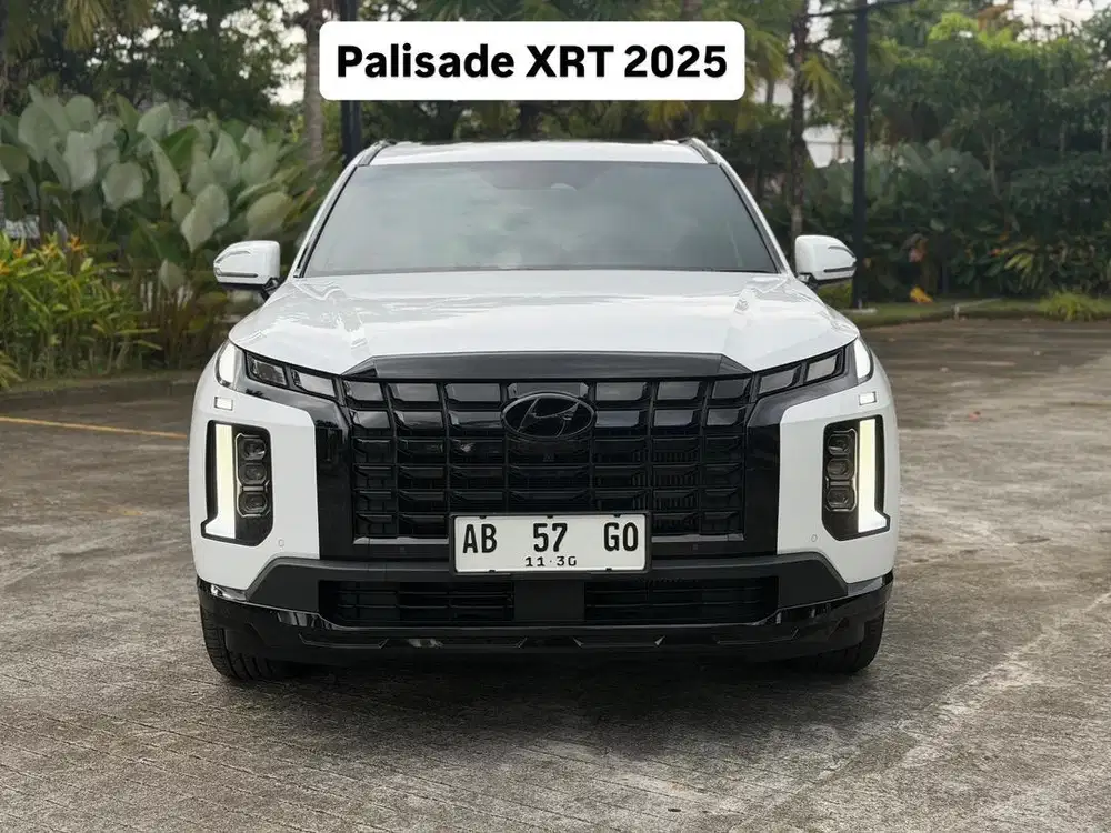 (Km17rb)PALISADE XRT 2025/2026