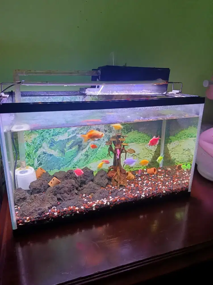 aquarium bahan akrilik