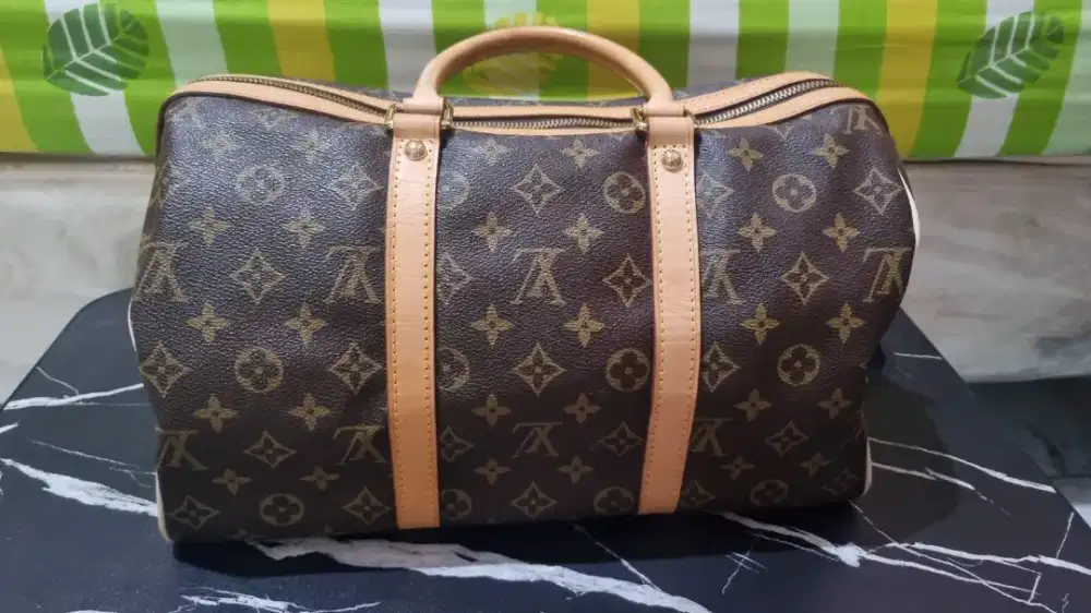 Louis Vuitton (LV) Bags