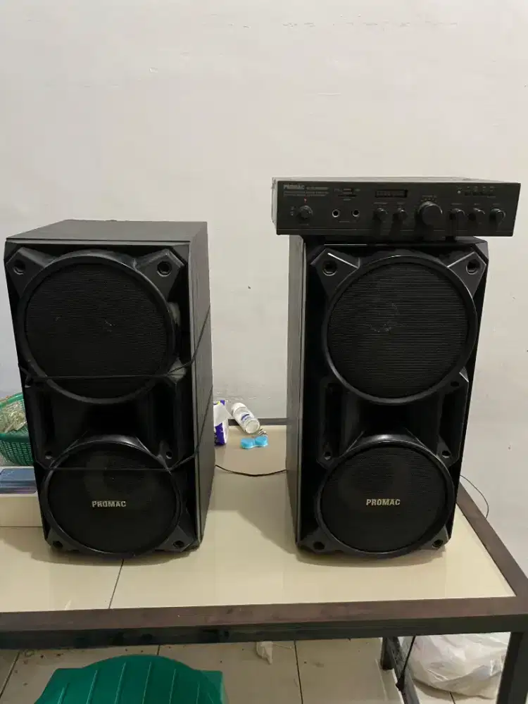 Speaker Karaoke 6inch Pasif