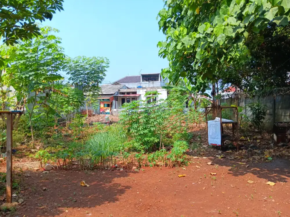 Di Jual Tanah  Luas 545 m2 Gg Mushullah Cilangkap