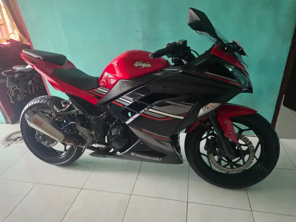 Ninja 250 Fi 2013