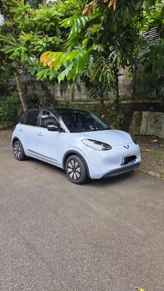 Binguo Pro 333 km 2024