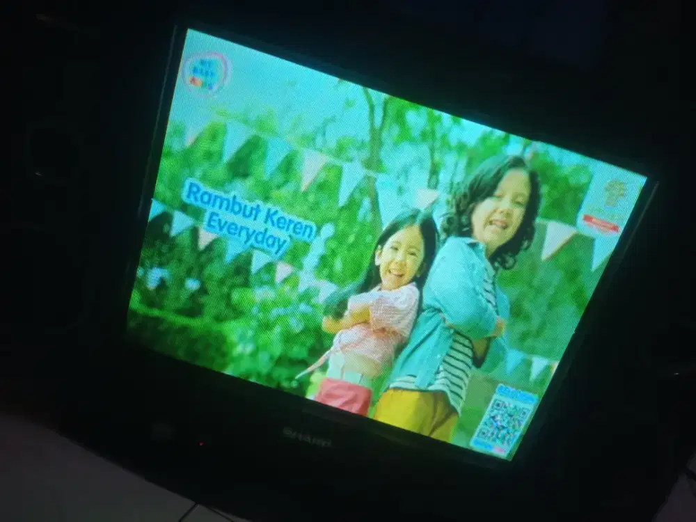 Tv Sharp 21 in in