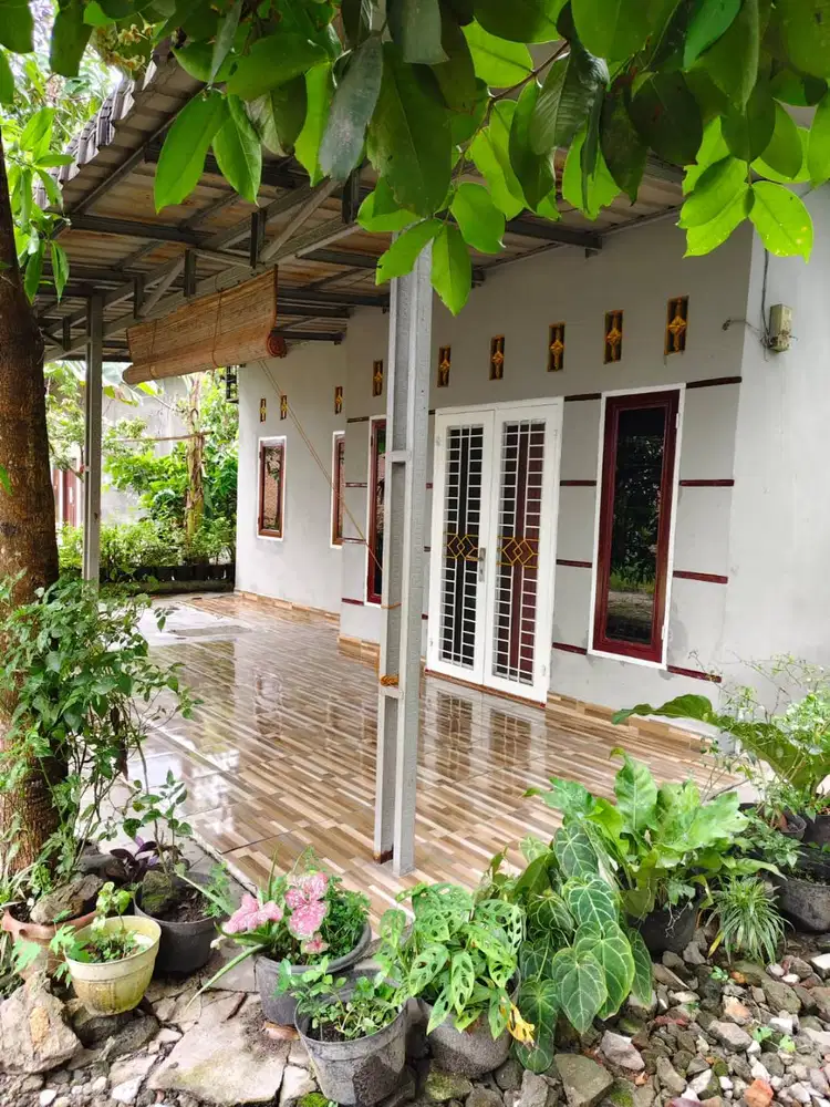 Dijual Rumah SHM Luas 307m² di Sei Rotan – Lokasi Strategis & Nyaman