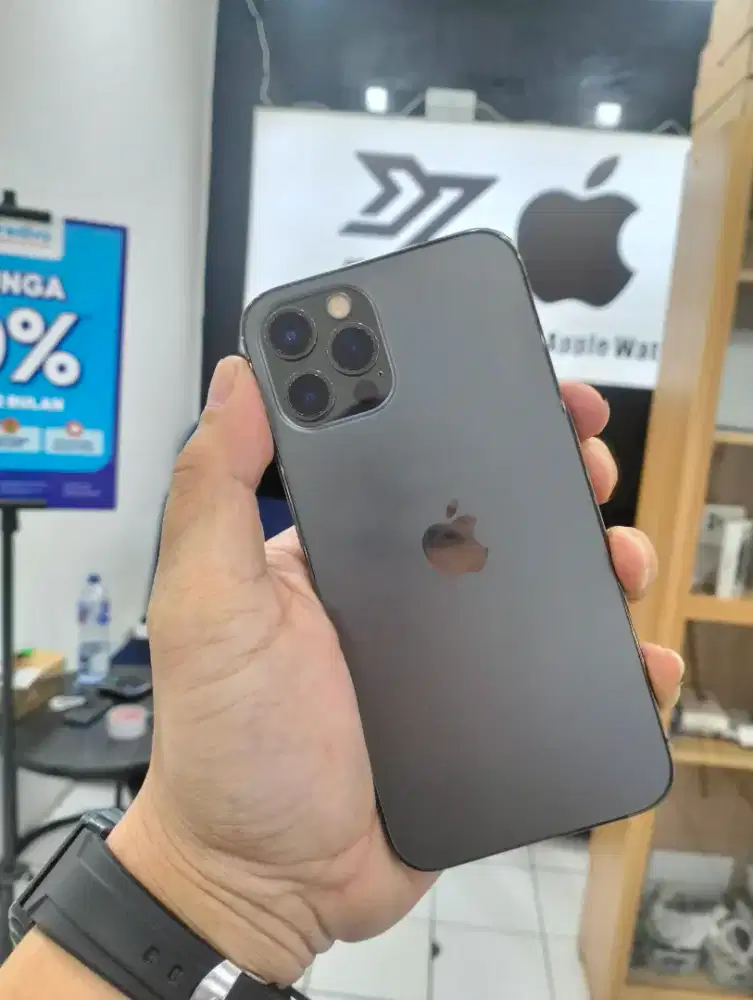 iPhone 12 Pro 256Gb LL/A, Grey Allop