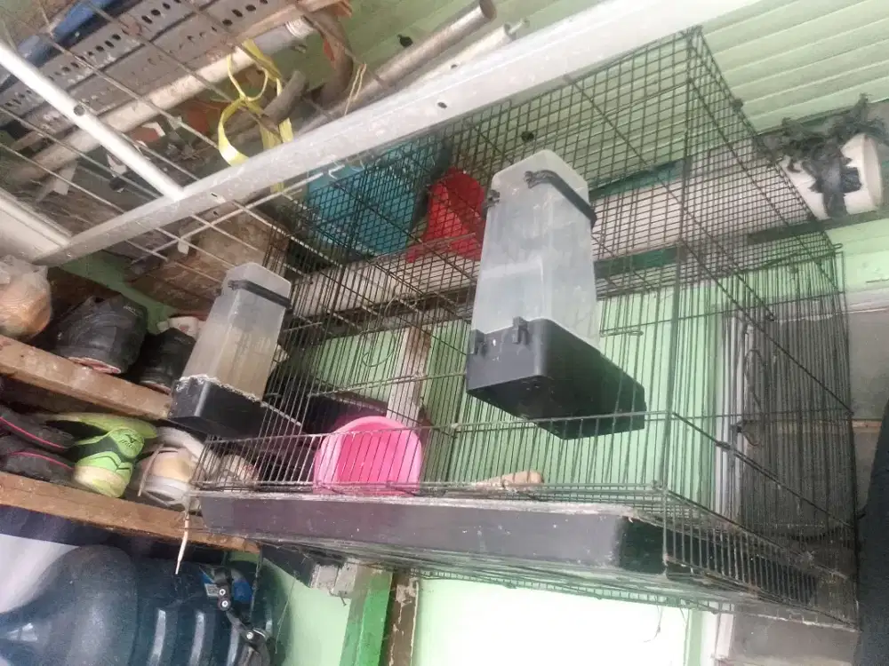 Kandang burung kotak besi