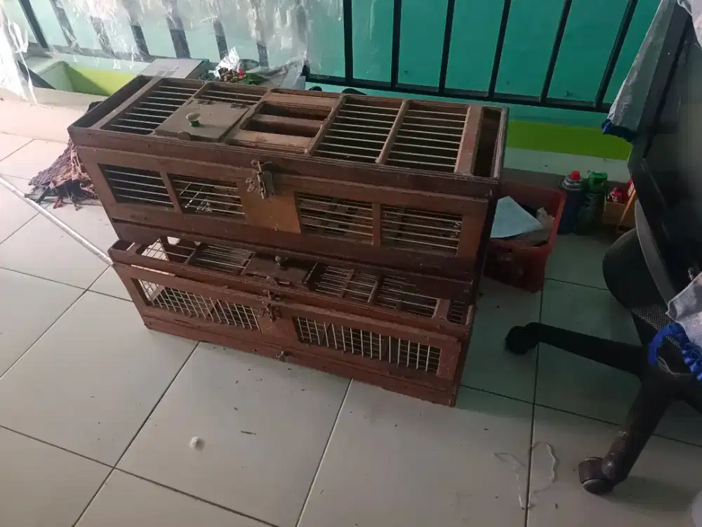 Dondang Tempat gabur merpati