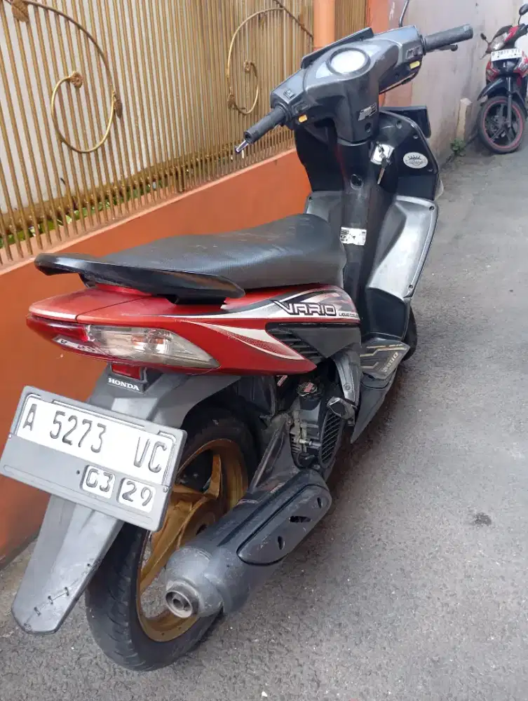 Vario CW 110  karbu 2014