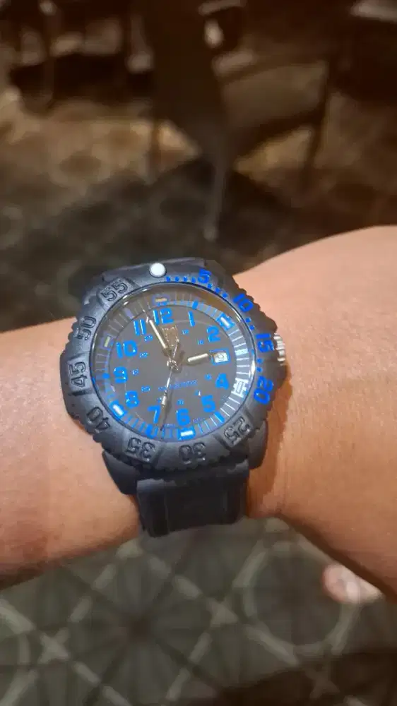 Luminox sea lion 43mm