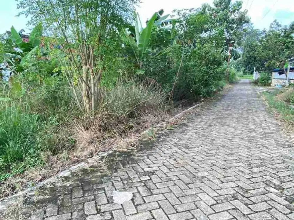 tanah 580 m² Hajimena raden Gunawan